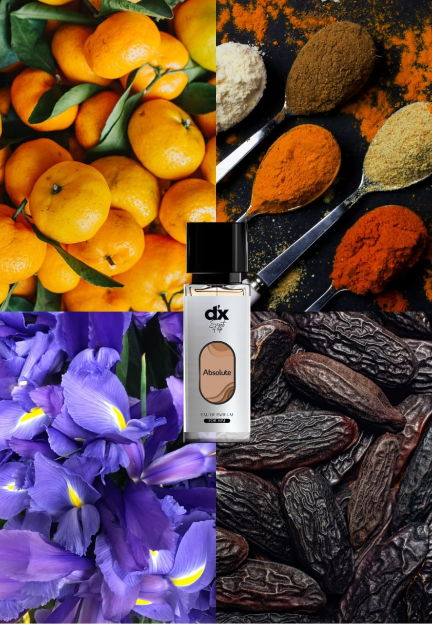 DX Absolute Men Parfum 30ML
