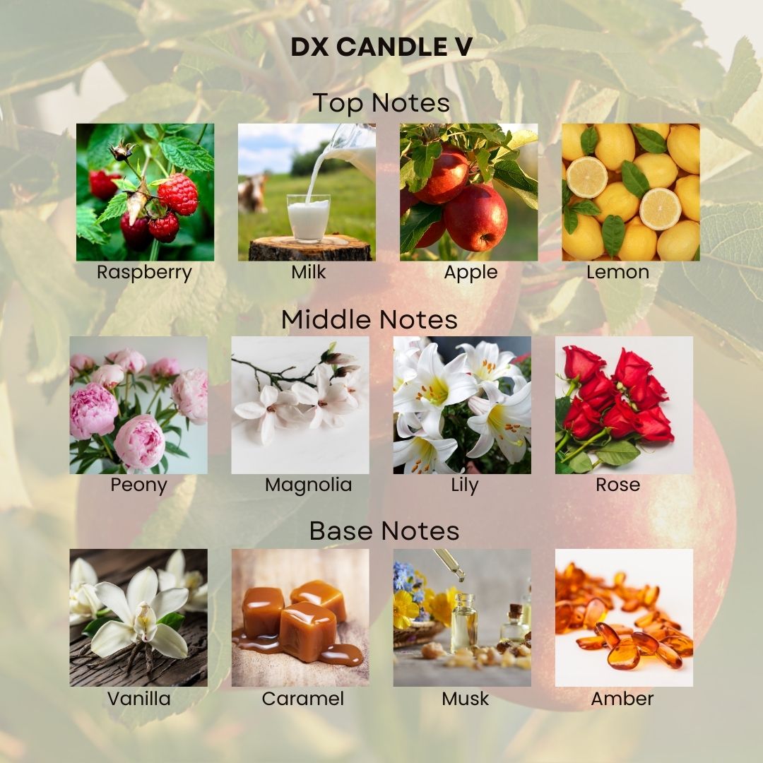 DX Candle V Women 30ML