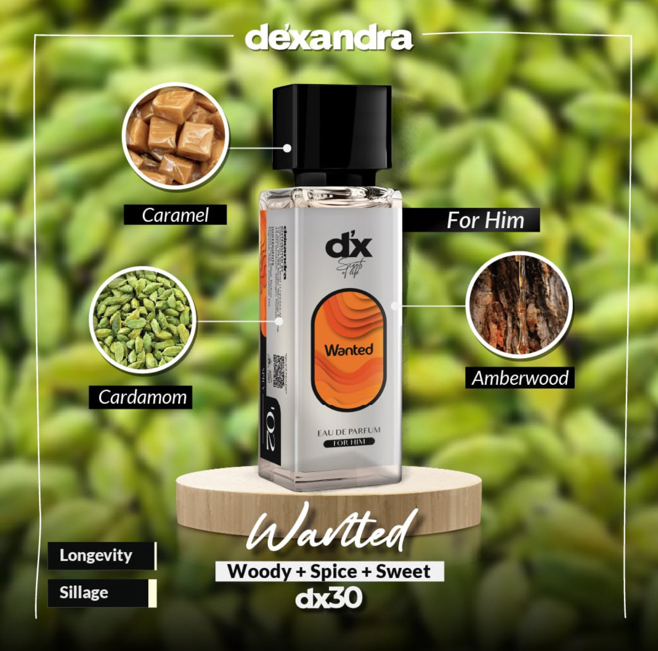 DX Wanted Men Parfum 30ML